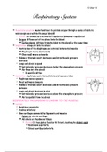 document-image