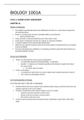 document-image