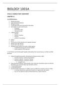 document-image