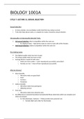 document-image