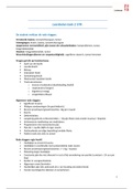 Bundle Doc Image